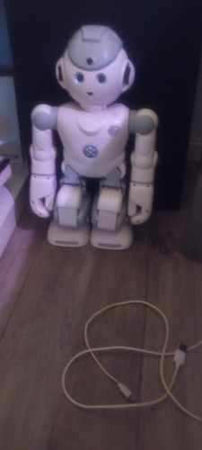 Robot umanoide ubtech - robot,